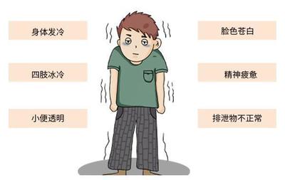 杓组词(梅组词)