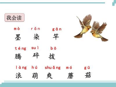 大河组词(河组词大全)