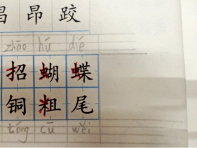 昂换偏旁组词(昂换偏旁组新字)