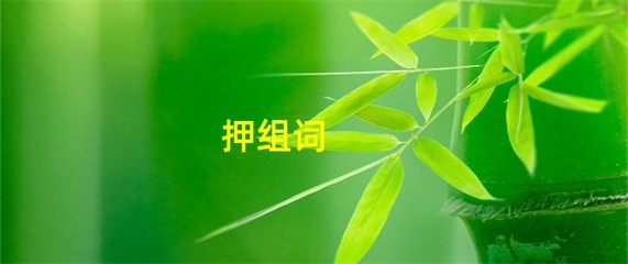 押组词(捉组词)