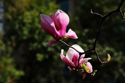 韵字怎么组词(韵字怎么组词两个字)