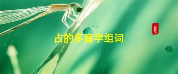 霸占的占组词(霸占的占组词拼音)
