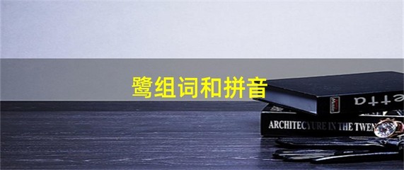 鹭怎么组词(鹭怎么组词组)