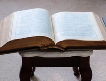 丰组词(末组词)