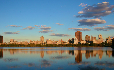 禾字组词有哪些(禾字组词有哪些组词呢怎么写呀)