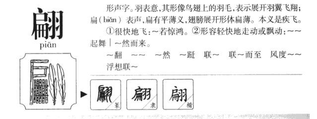 翩字组词(翩字组词三年级)