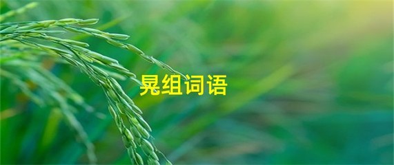 晃怎么组词语(晃怎么组词啊)