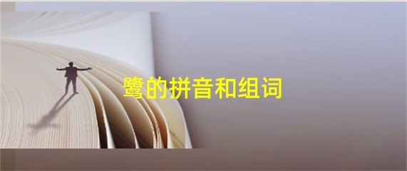 鹭的组词(鹭的组词怎么组)