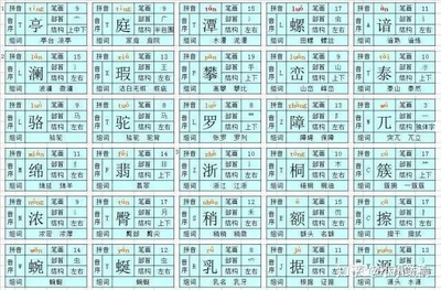 驼的拼音和组词(驼的拼音和组词组词语有哪些呢怎么写)