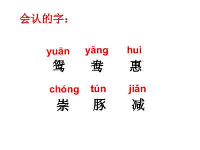 豚字组词(豚字组词大全)