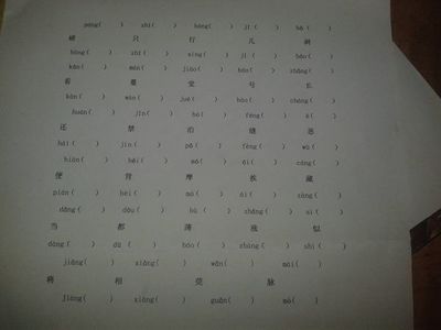 磅的多音字组词(磅的多音字组词是什么)