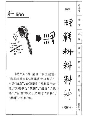 什么料组词(料什么什么什么)