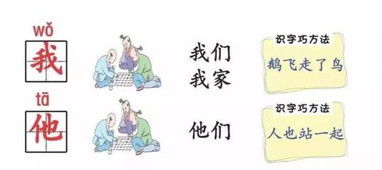 鹅组词造句(白鹅组词造句)