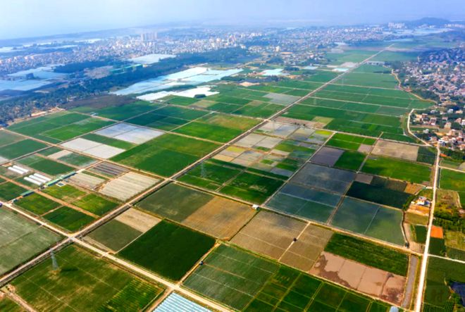 唐组词组(唐组词组和拼音怎么写的)