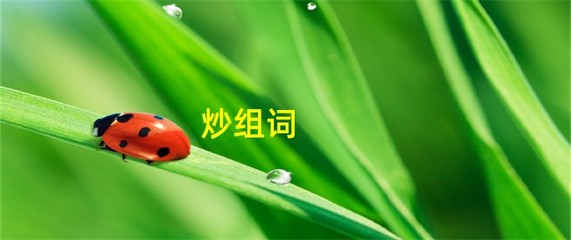 炒组词(燃组词)