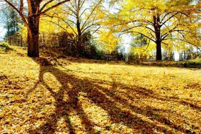 晓字怎么组词(耘的组词)