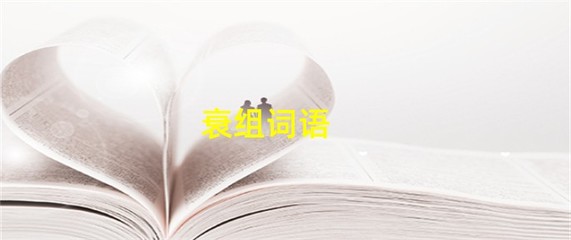 衰组词语(衰组词语拼音)