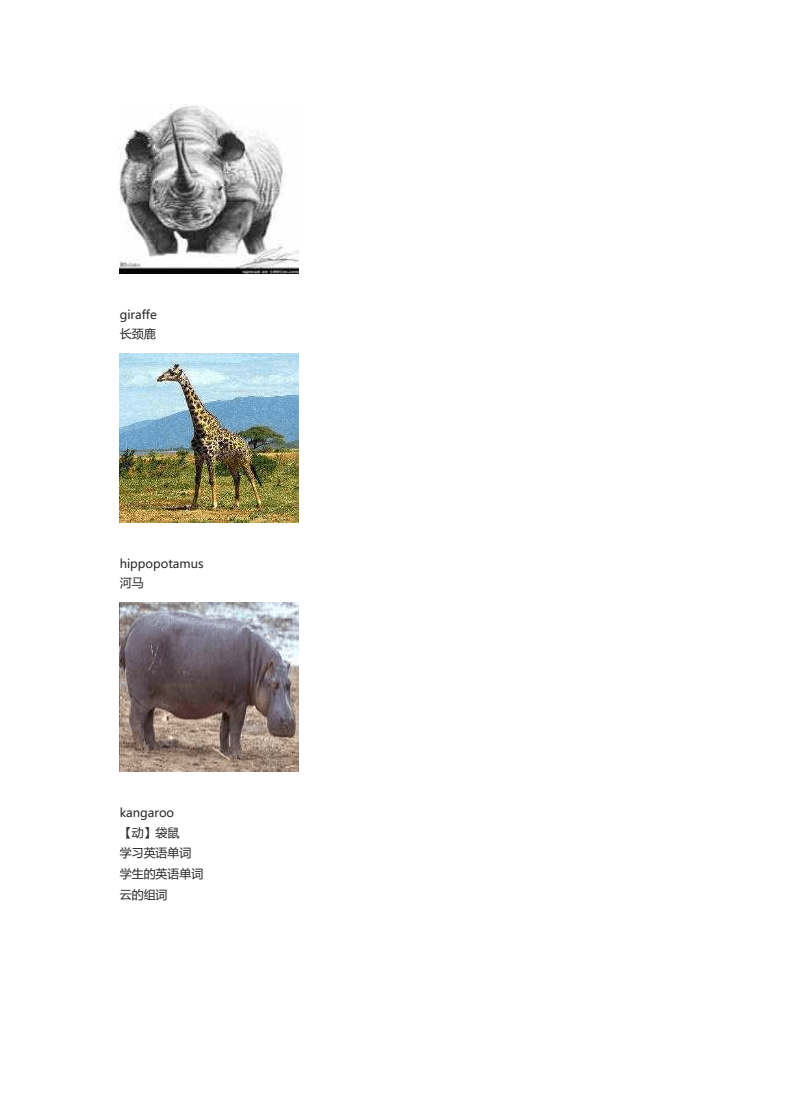 动物组词(动物组词有哪些)