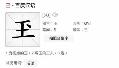 玊组词(琪组词)