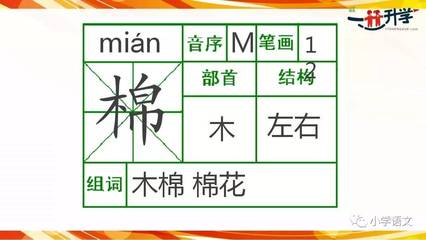 棉花的棉的组词(棉花的棉字怎么组词?怎么组?)