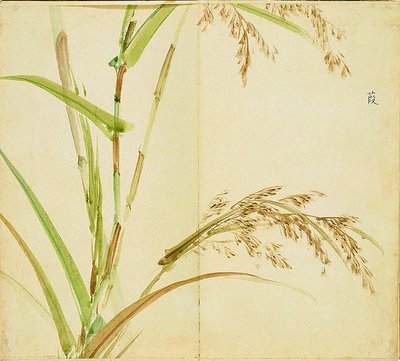 组词蒹(蒹的组词是什么)