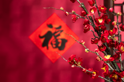 舌头组词(舌组词)