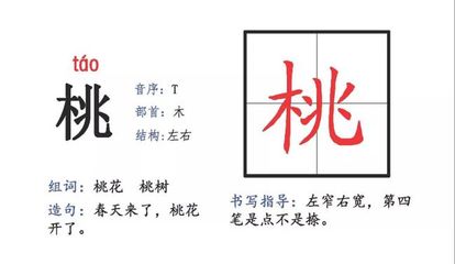 桃字组词有哪些(桃字的组词怎么组)