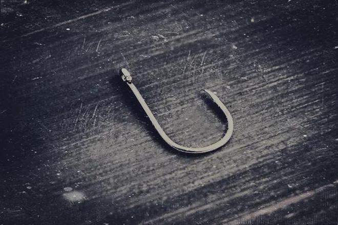 组词芉(藉组词)