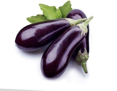 焦急组词(焦急的焦组词有哪些)