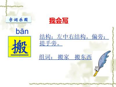 提手旁组词(提手旁组词怎么组词)