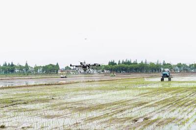 耕的组词是(耕的组词和读音)