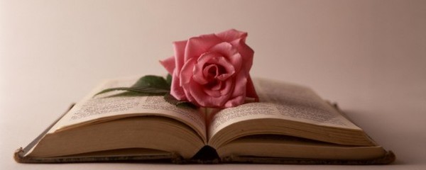 什么越组词(越什么越什么组词四字词语)