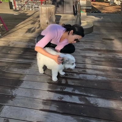 用赞组词(用赞组词我什么什么仙人掌 因为它有顽强的生命力)