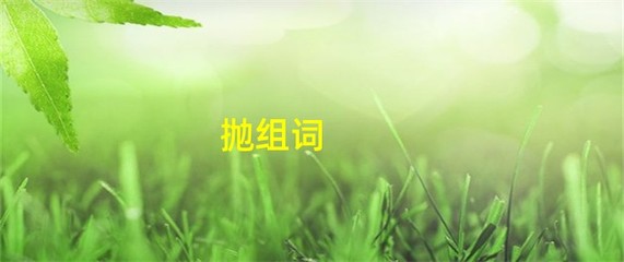 抛组词(挪组词)
