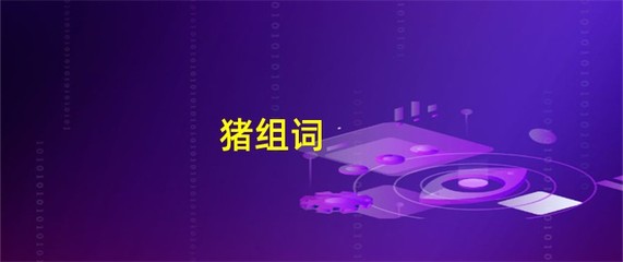 猪组词(拽组词)