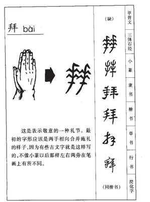 拜字组词(慧字组词)