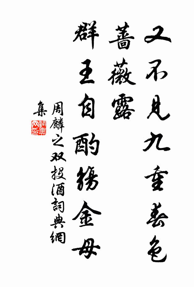 蔷字组词(蔷字组词语)
