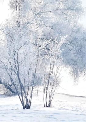 凇组词(凇组词和拼音)