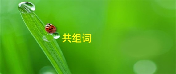 共字的组词(共字的组词一年级下册)
