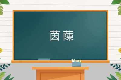 组词茵(茵组词三个字)