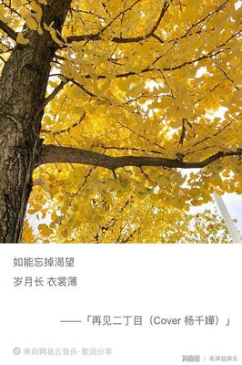 大概组词(大概组词造句)