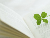 歹怎么组词(风字头里面一个云,止,百,歹怎么组词)