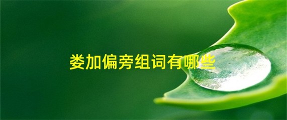 娄加偏旁组词(娄加偏旁组词什么子)