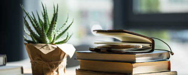 油怎么组词(油怎么组词语呀)