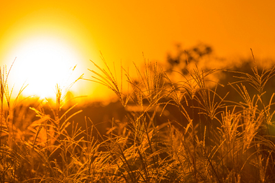 轻怎么组词(轻怎么组词语和拼音)