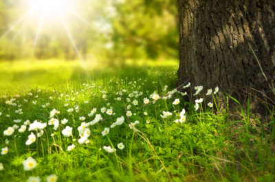 朱组词.(朱组词加偏旁)