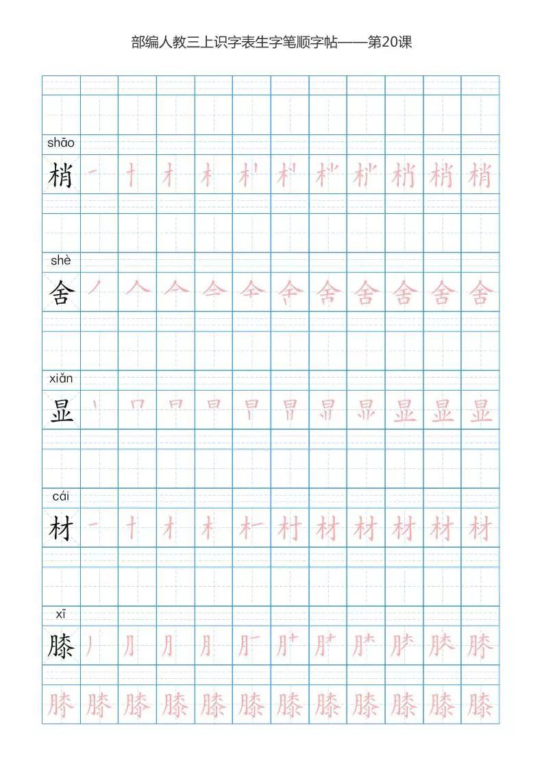 she怎么组词(蛇怎么组词)