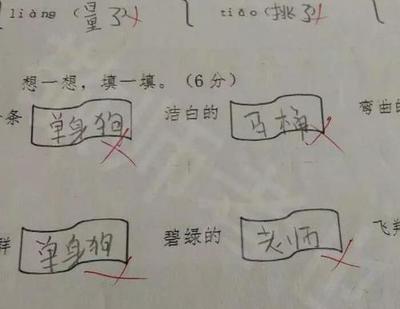 措的组词是什么(措的组词组什么)