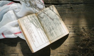 隼组词(损组词)