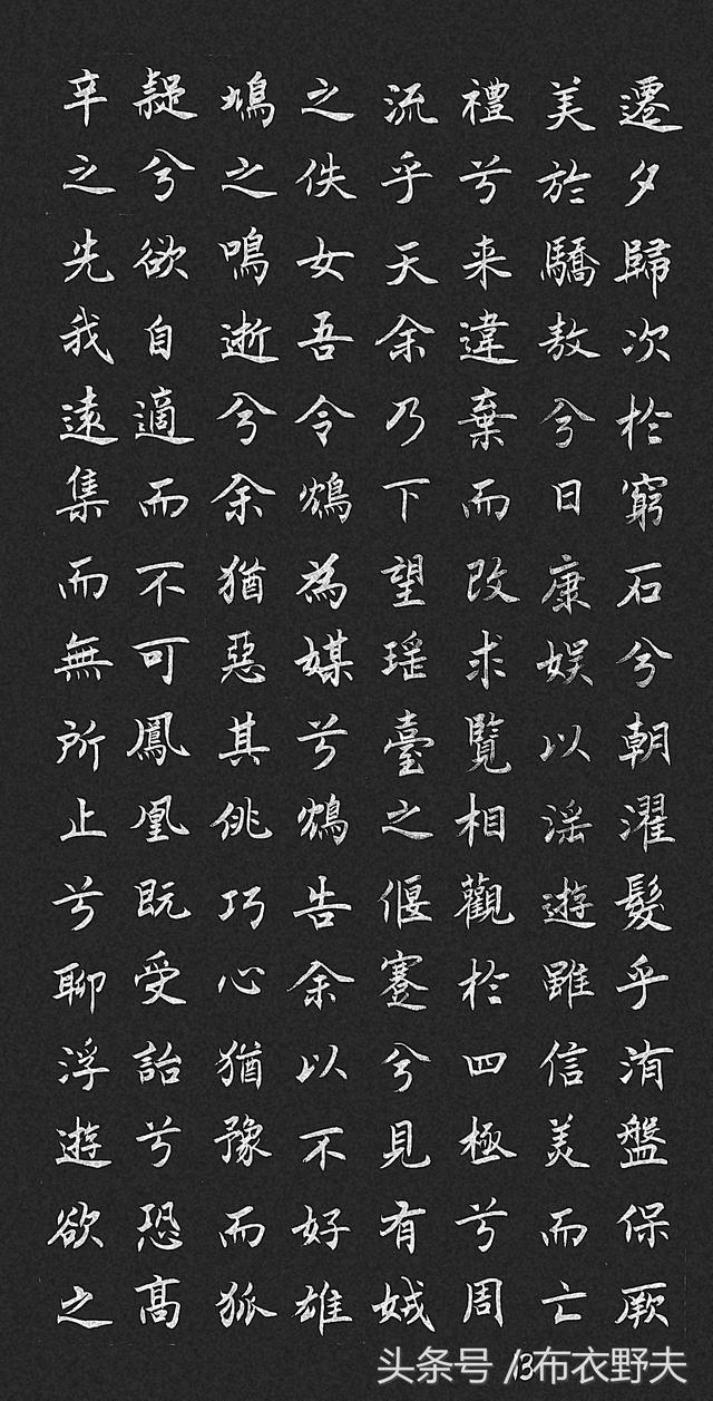 阍组词(阍组词和拼音)